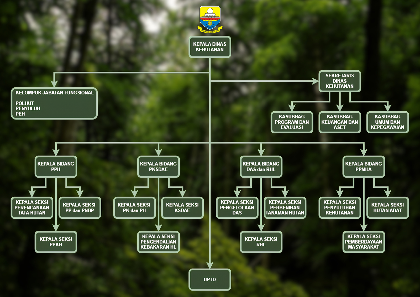 Struktur Organisasi